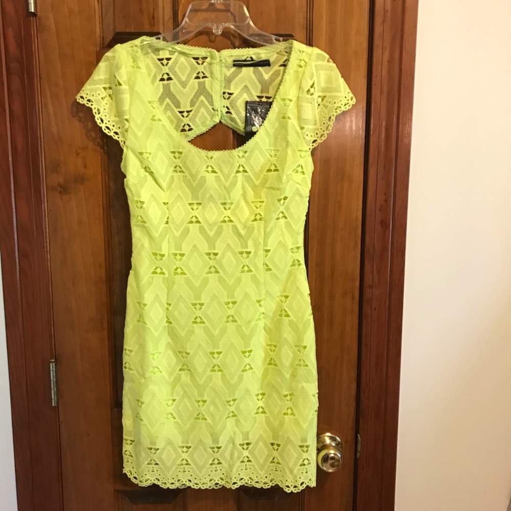 Lace Backless Signature8 Romantic Cocktail Dress